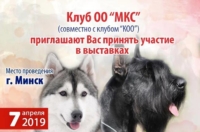 Выставка собак