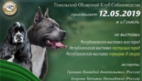 Гомель выставка собак 12.05.2019