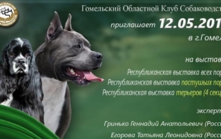 Гомель выставка собак 12.05.2019