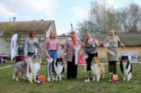 best of breed