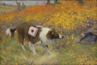Комаров А.Н. Собака-санитар