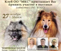 чемпионат колли 27.10.2019