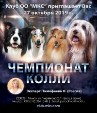 расписание выставок
