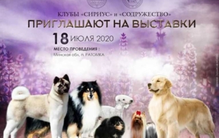 выставка собак
