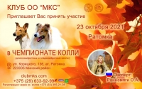 Чемпионат колли