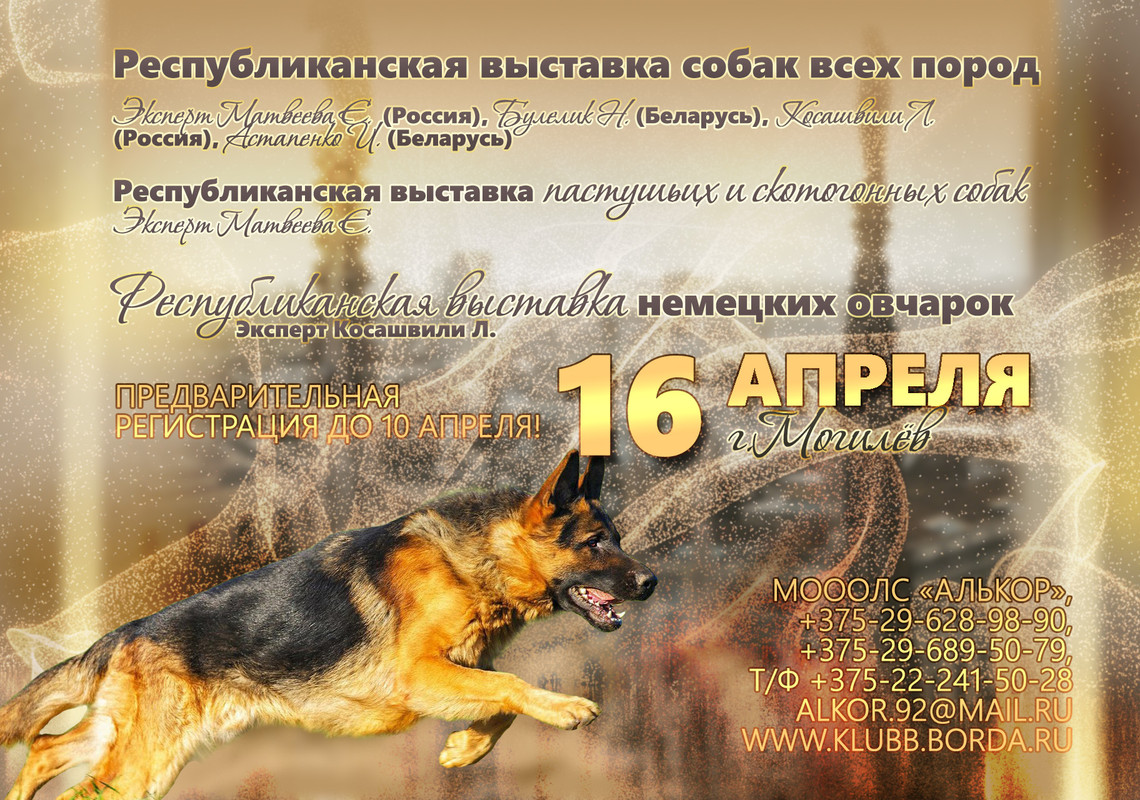 Республиканская выставка пастушьих и скотогонных собак, Могилёв, 2022