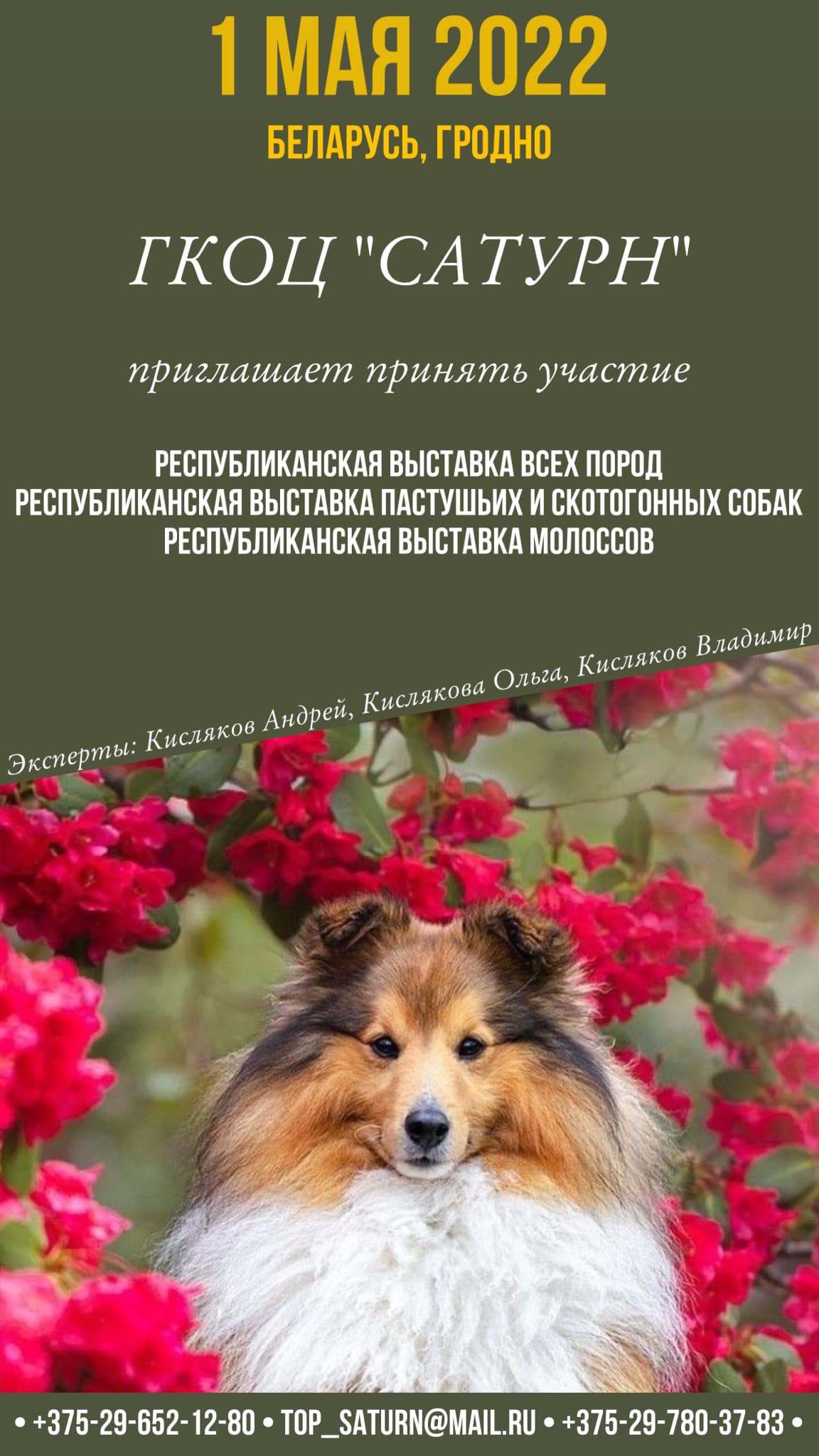 Республиканская выставка пастушьих и скотогонных собак, Гродно, 2022