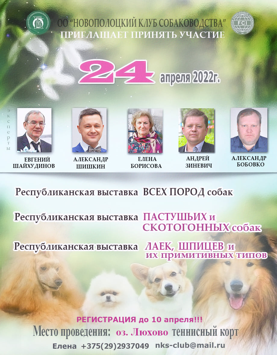 Республиканская выставка пастушьих и скотогонных собак, Новополоцк, 2022
