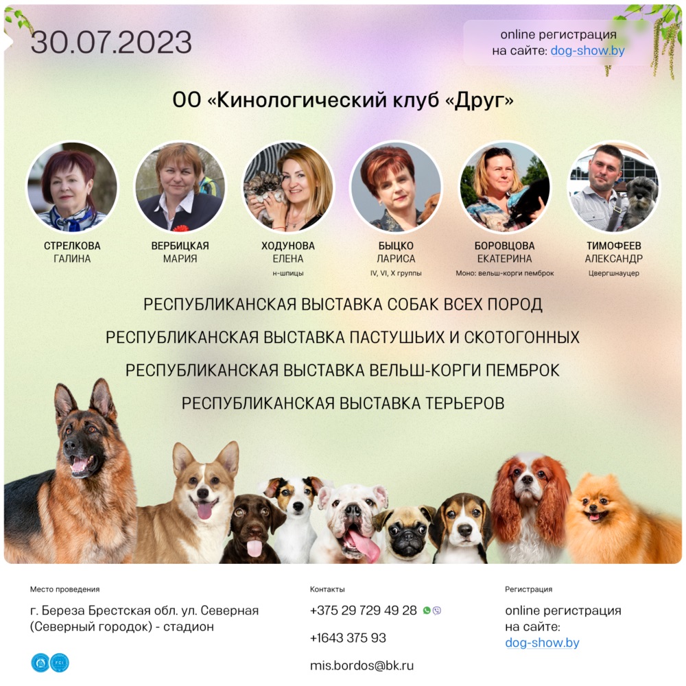 Республиканская выставка собак всех пород (БЕРЕЗА) 30.07.2023