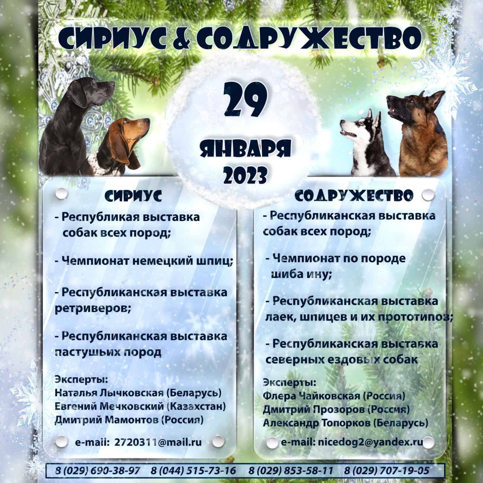 Республиканская выставка пастушьих пород, БРОЛЖ «Сириус»
